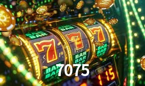 Security Systems 7075